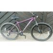 Carrera Hellcat 29 Mountain Bike